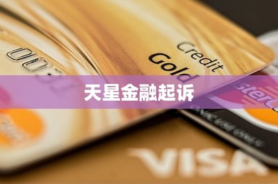 天星金融起訴企業(yè)管理服務(wù) 金融科技糾紛的警示